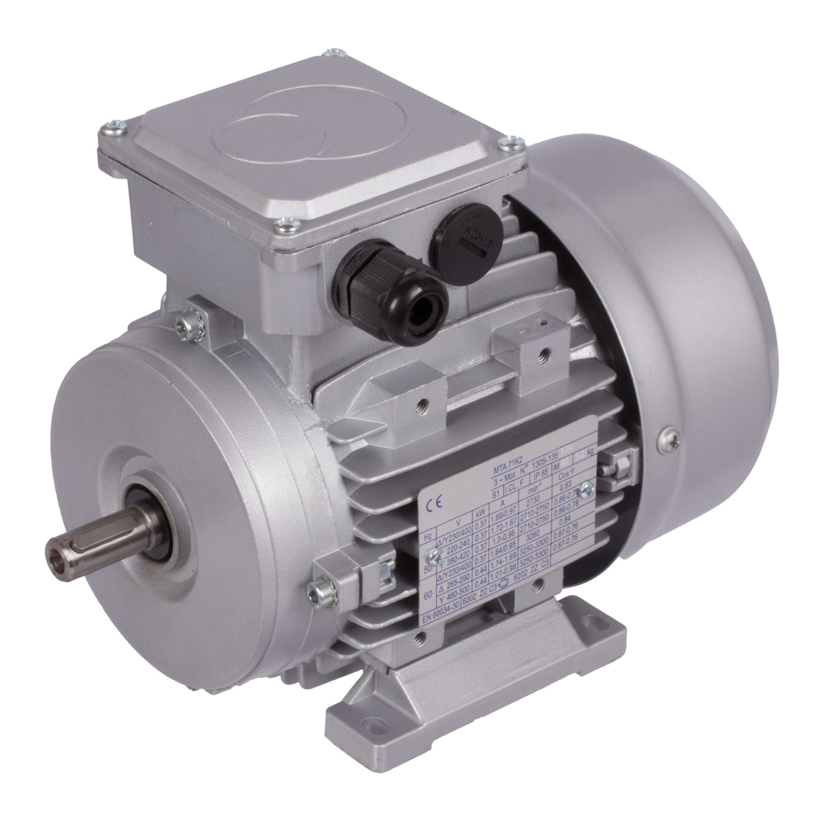 Silver Motor
